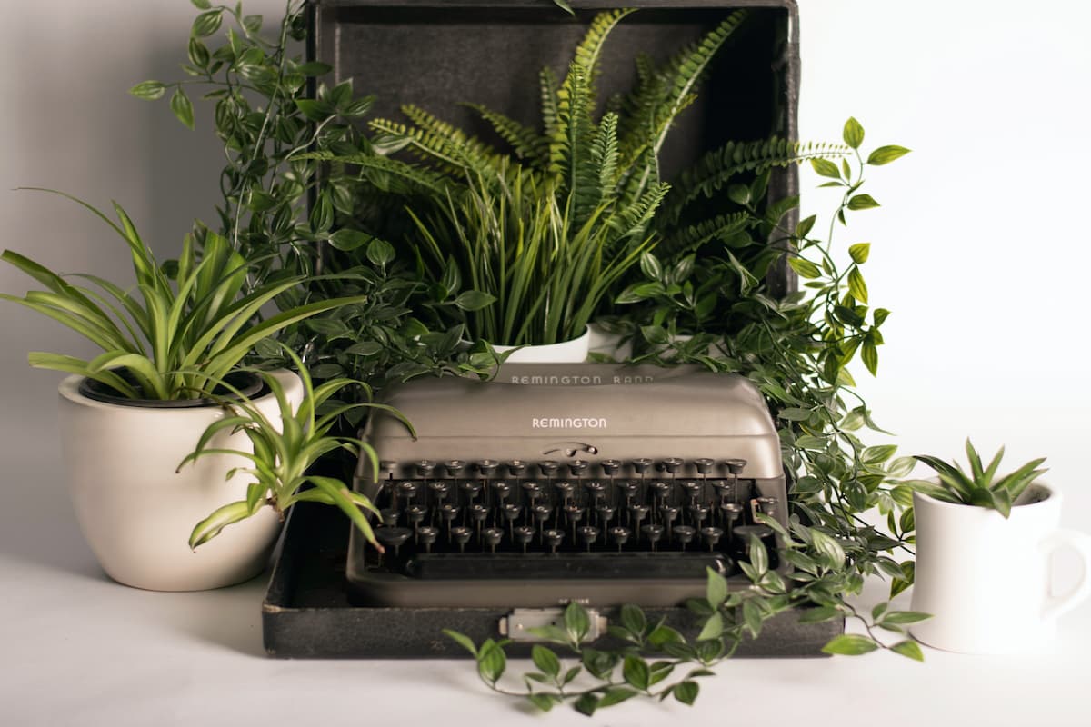 old typewriter and indoor plants